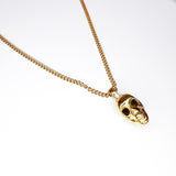 Skull (Gold)